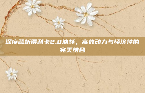 深度解析得利卡2.0油耗,高效动力与经济性的完美结合