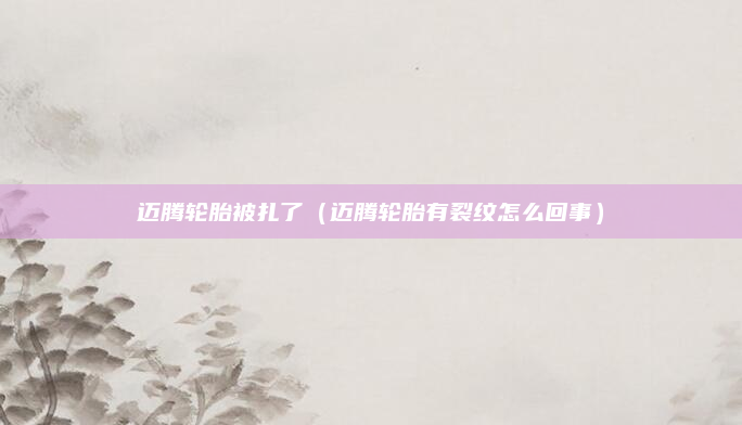迈腾轮胎被扎了(迈腾轮胎有裂纹怎么回事)