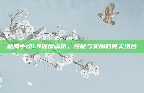 速腾手动1.4深度解析，性能与实用的完美结合