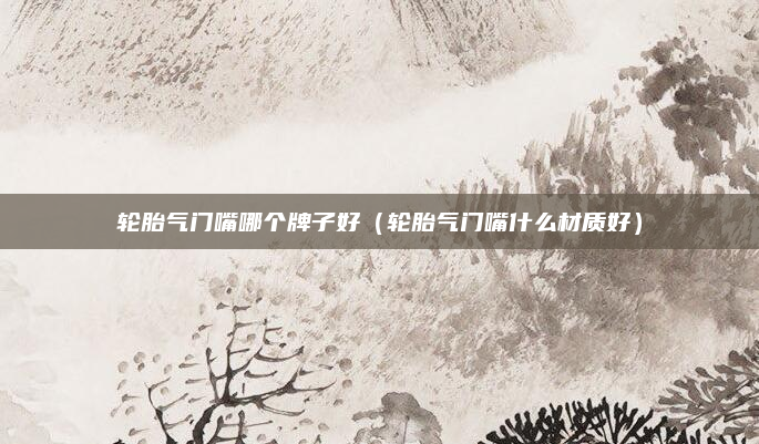 轮胎气门嘴哪个牌子好（轮胎气门嘴什么材质好）