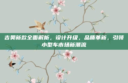 吉奥新款全面解析，设计升级，品质革新，引领小型车市场新潮流