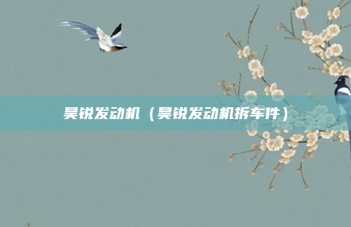 昊锐发动机（昊锐发动机拆车件）