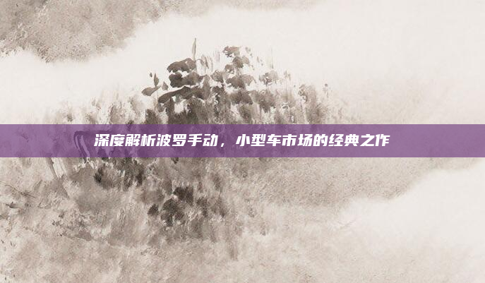深度解析波罗手动，小型车市场的经典之作