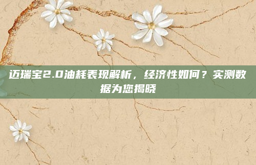 迈瑞宝2.0油耗表现解析,经济性如何?实测数据为您揭晓