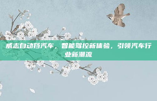 威志自动挡汽车，智能驾控新体验，引领汽车行业新潮流