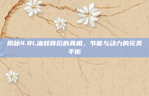 揭秘4.8L油耗背后的真相，节能与动力的完美平衡