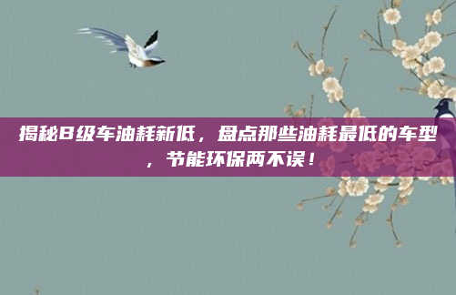 揭秘B级车油耗新低，盘点那些油耗最低的车型，节能环保两不误！