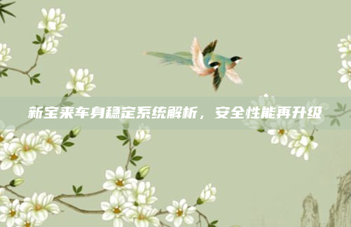 新宝来车身稳定系统解析,安全性能再升级