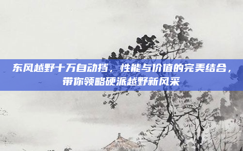 东风越野十万自动挡,性能与价值的完美结合,带你领略硬派越野新风采