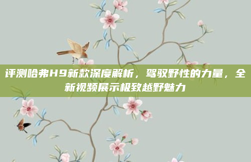 评测哈弗H9新款深度解析，驾驭野性的力量，全新视频展示极致越野魅力