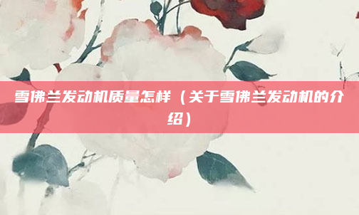 雪佛兰发动机质量怎样(关于雪佛兰发动机的介绍)