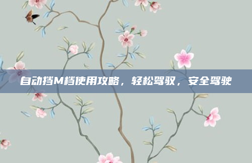 自动挡M档使用攻略,轻松驾驭,安全驾驶
