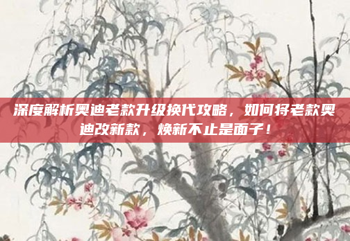 深度解析奥迪老款升级换代攻略,如何将老款奥迪改新款,焕新不止是面子!