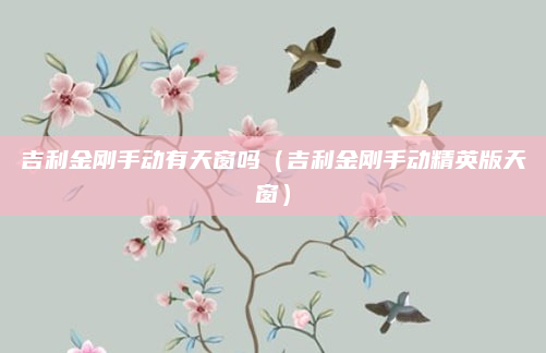 吉利金刚手动有天窗吗(吉利金刚手动精英版天窗)