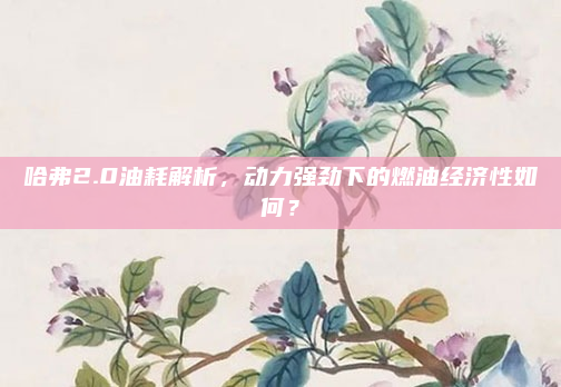 哈弗2.0油耗解析，动力强劲下的燃油经济性如何？