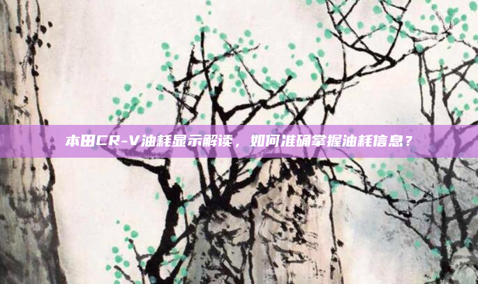 本田CR-V油耗显示解读,如何准确掌握油耗信息?