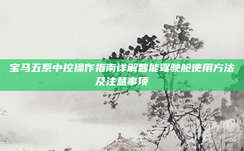 宝马五系中控操作指南详解智能驾驶舱使用方法及注意事项