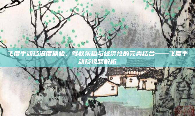 飞度手动挡深度体验,驾驭乐趣与经济性的完美结合——飞度手动挡视频解析