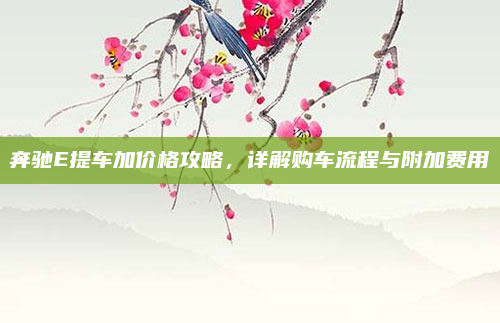 奔驰E提车加价格攻略，详解购车流程与附加费用