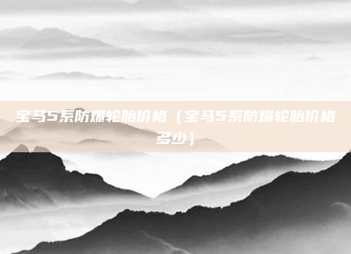 宝马5系防爆轮胎价格（宝马5系防爆轮胎价格多少）