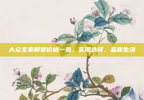 大众宝来脚垫价格一览,实用选择,品质生活