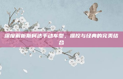 深度解析斯柯达手动车型,操控与经典的完美结合