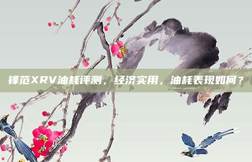锋范XRV油耗评测,经济实用,油耗表现如何?