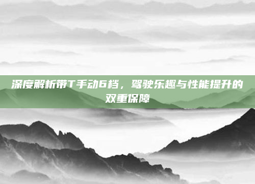 深度解析带T手动6档，驾驶乐趣与性能提升的双重保障