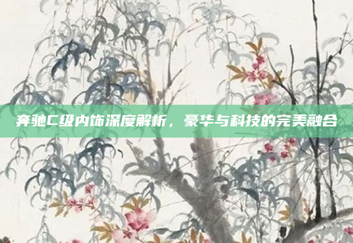 奔驰C级内饰深度解析，豪华与科技的完美融合