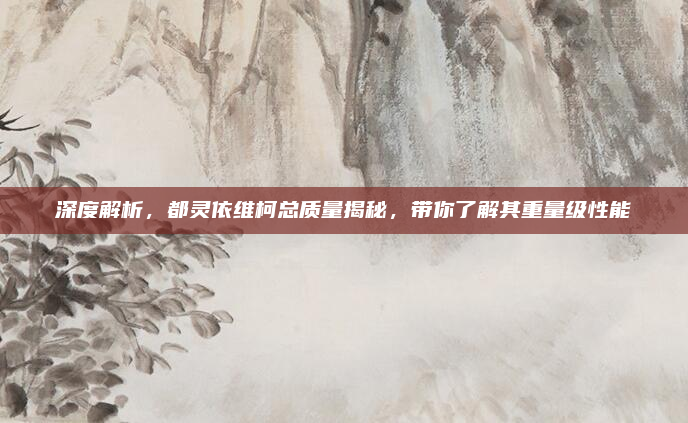 深度解析，都灵依维柯总质量揭秘，带你了解其重量级性能