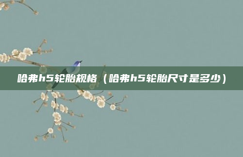 哈弗h5轮胎规格（哈弗h5轮胎尺寸是多少）