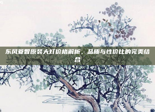 东风菱智原装大灯价格解析,品质与性价比的完美结合