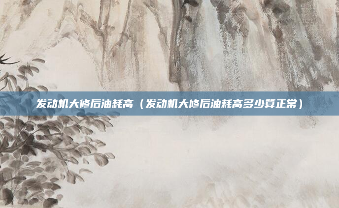 发动机大修后油耗高(发动机大修后油耗高多少算正常)