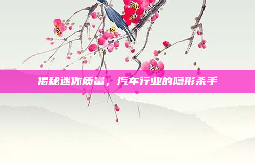 揭秘迷你质量，汽车行业的隐形杀手