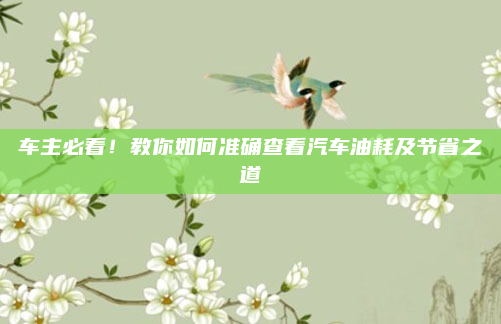 车主必看!教你如何准确查看汽车油耗及节省之道