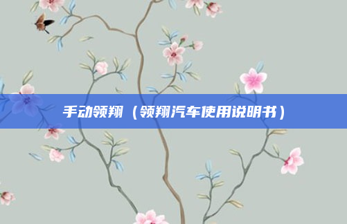 手动领翔（领翔汽车使用说明书）