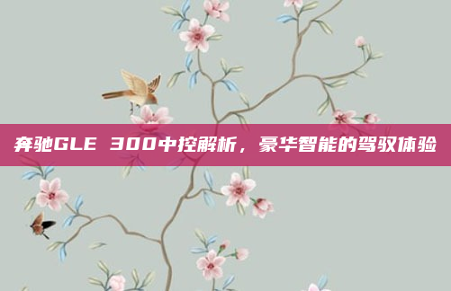 奔驰GLE 300中控解析，豪华智能的驾驭体验
