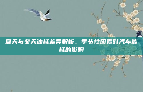 夏天与冬天油耗差异解析，季节性因素对汽车能耗的影响