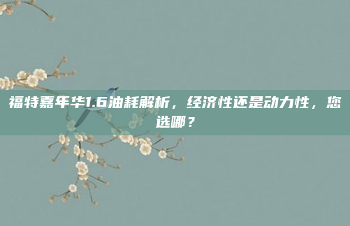 福特嘉年华1.6油耗解析,经济性还是动力性,您选哪?