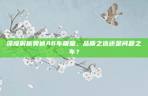 深度解析奥迪A6车质量,品质之选还是问题之车?