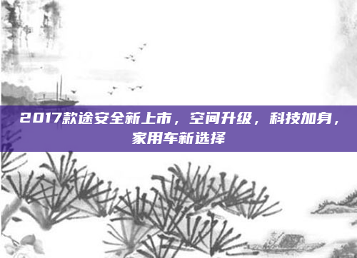 2017款途安全新上市,空间升级,科技加身,家用车新选择