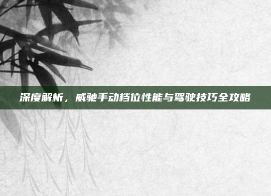 深度解析,威驰手动档位性能与驾驶技巧全攻略