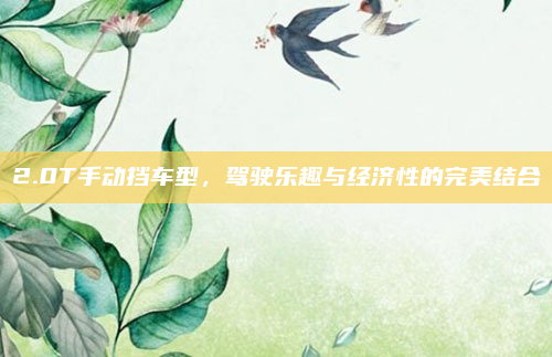 2.0T手动挡车型,驾驶乐趣与经济性的完美结合