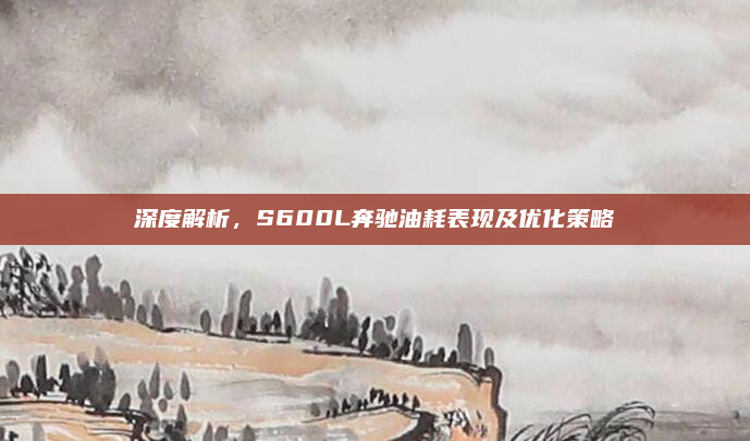 深度解析,S600L奔驰油耗表现及优化策略