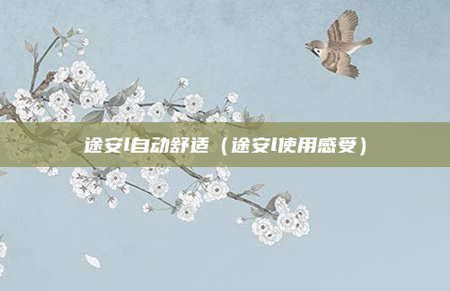途安l自动舒适（途安l使用感受）