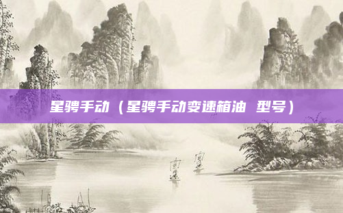 星骋手动（星骋手动变速箱油 型号）