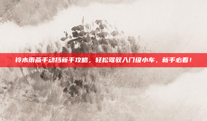 铃木雨燕手动挡新手攻略，轻松驾驭入门级小车，新手必看！
