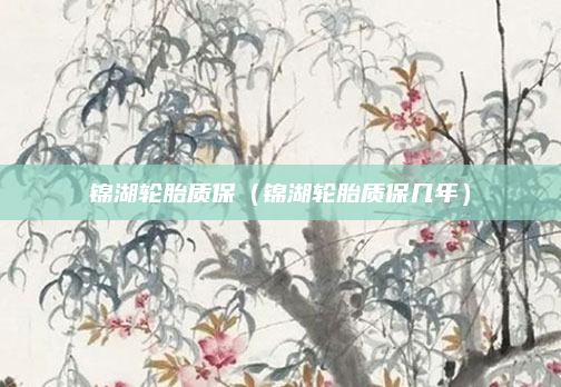 锦湖轮胎质保(锦湖轮胎质保几年)