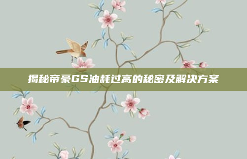 揭秘帝豪GS油耗过高的秘密及解决方案