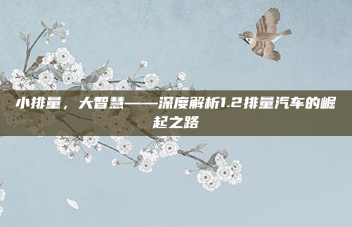小排量，大智慧——深度解析1.2排量汽车的崛起之路